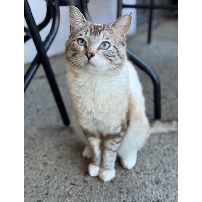 Photo of 12969   Frankie