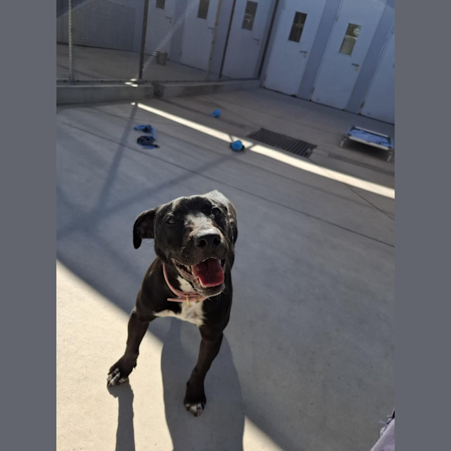 Photo of Bonnie