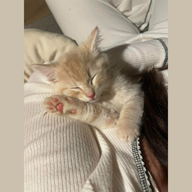 Photo of Star