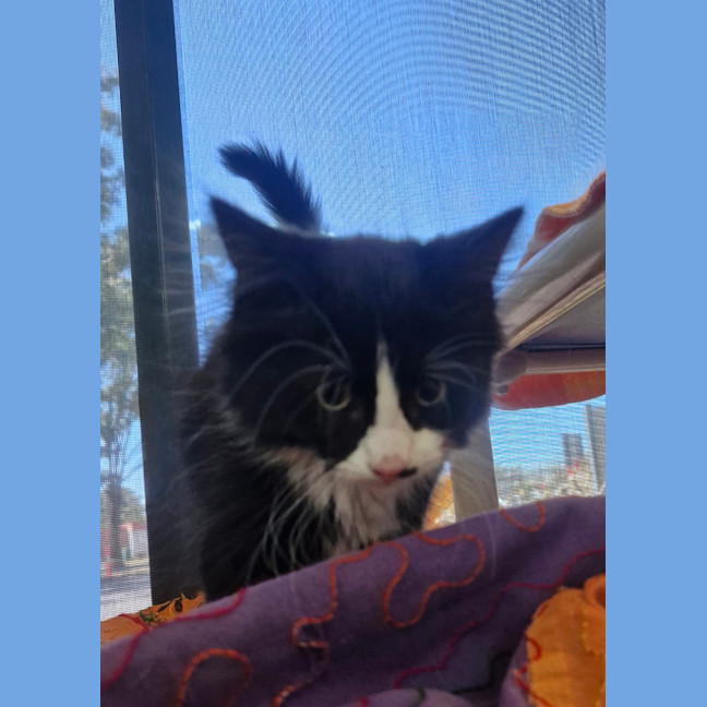 Photo of New Approach