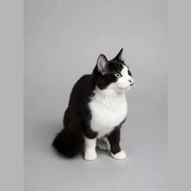 Photo of Bonnie
