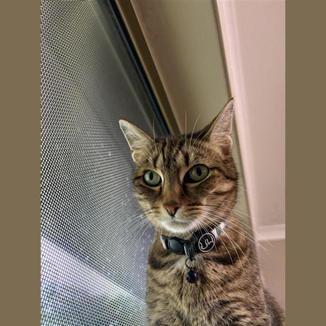 Photo of Sammii