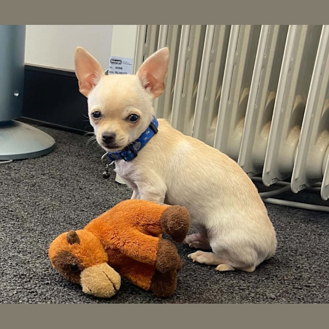 Photo of Pablo