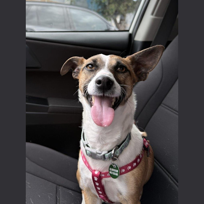 Photo of Lillie Uffelman