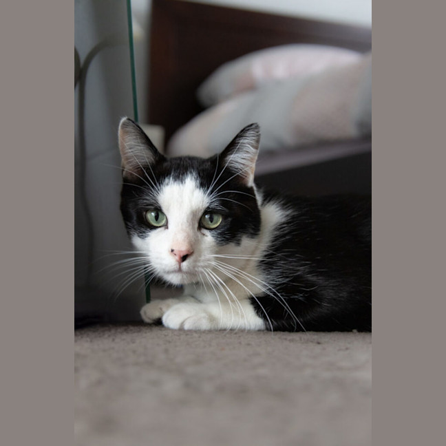 Photo of Billy