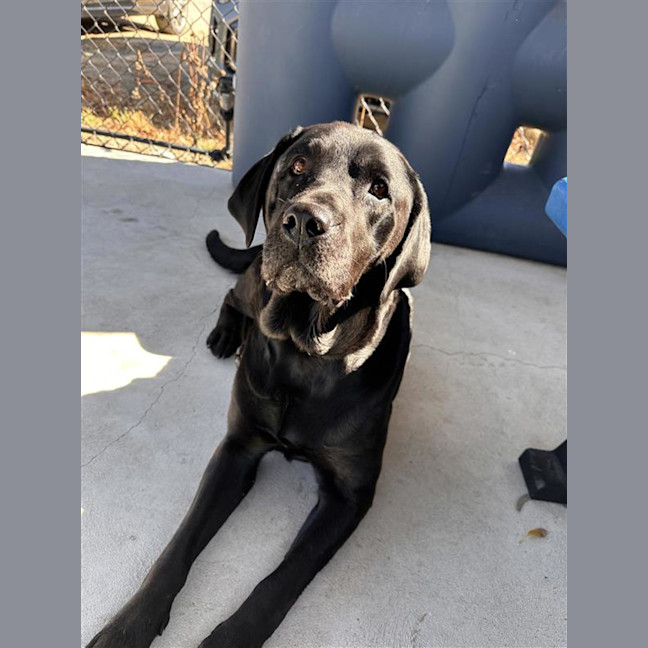 Photo of Storm