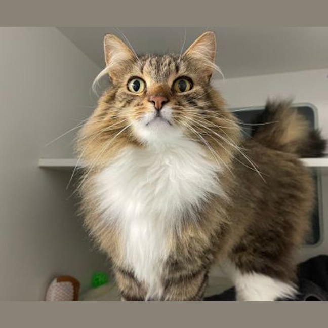 Photo of Sunny