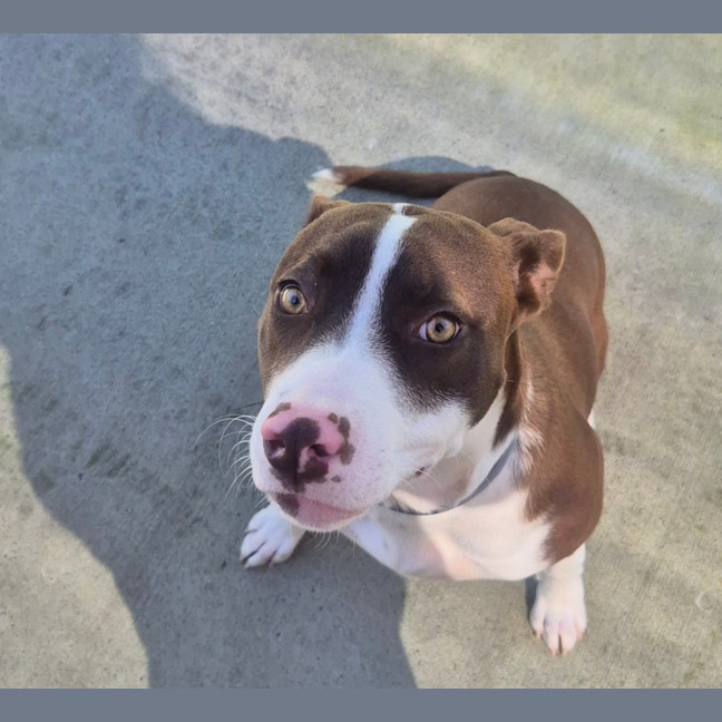 Photo of Cindy (8883)