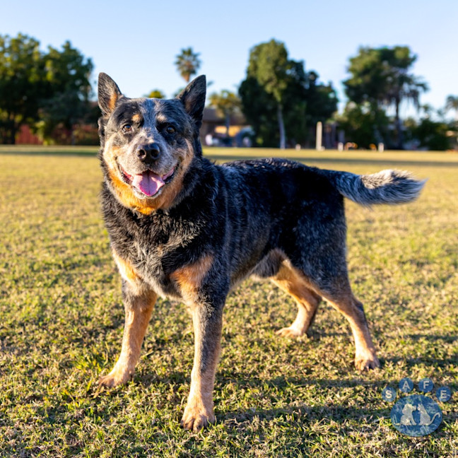 Photo of Tex