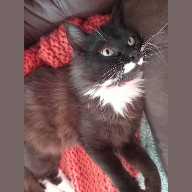 Photo of Charlie 
