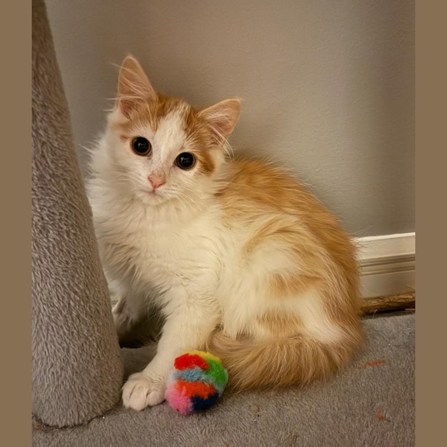 Photo of Jeffrey