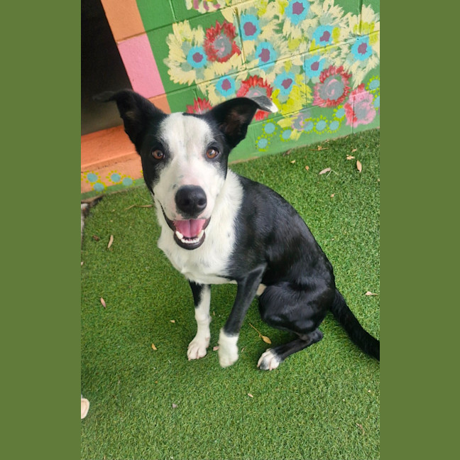 Photo of D1210 Salty