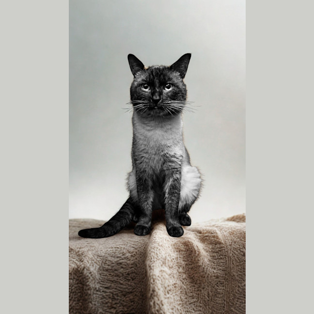 Photo of Ghost