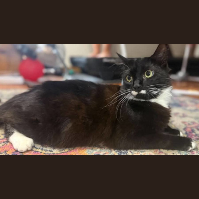 Photo of Charlie 