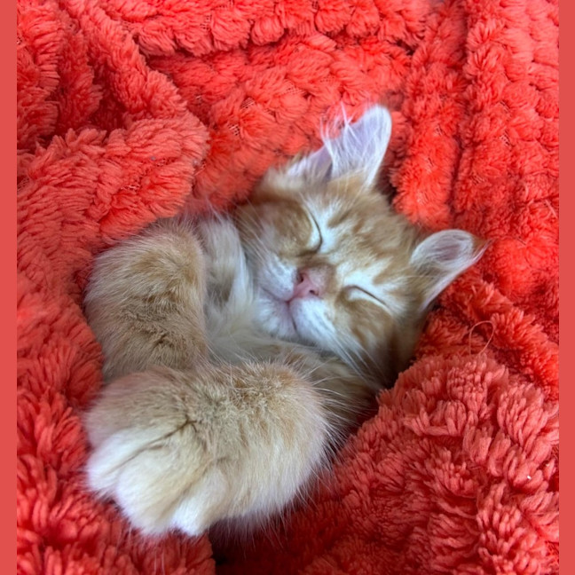 Photo of Eddie & Cherry 