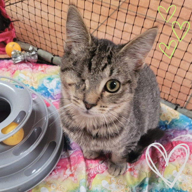 Photo of 💖 Chloe & Charlie 💖