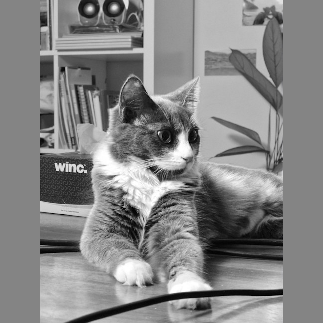 Photo of Twix