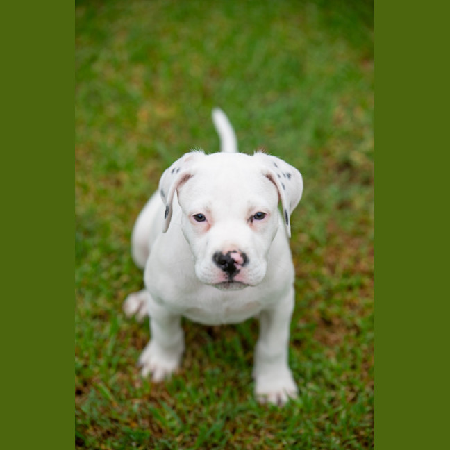 Photo of Hamish