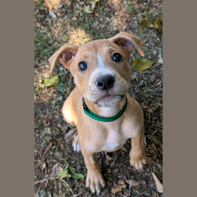 Photo of Wilma