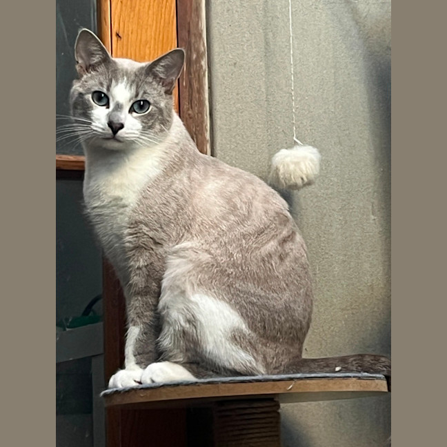 Photo of Ghosty