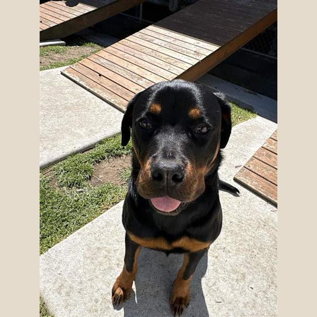 Photo of Susie 