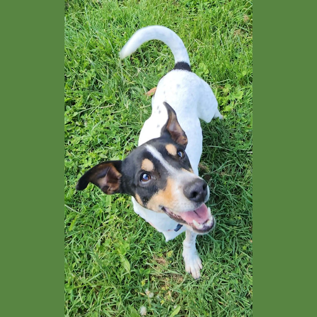 Photo of Tilly