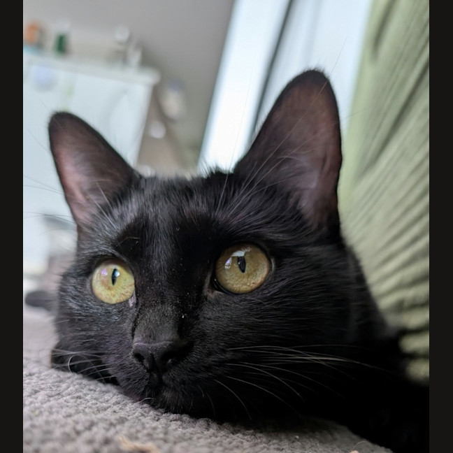 Photo of Alluka