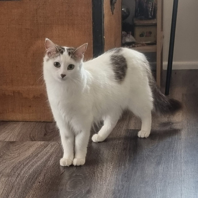 Photo of Lilly