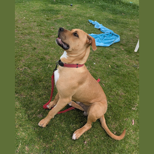 Photo of Reggie
