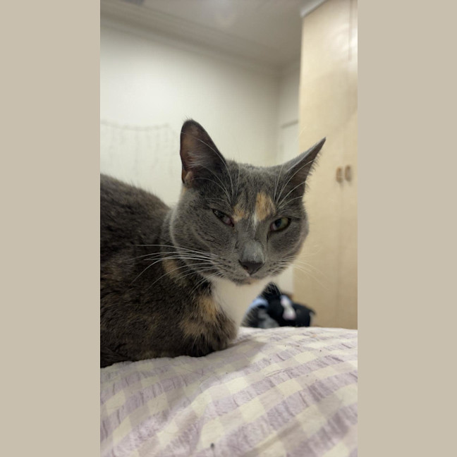 Photo of Pippa