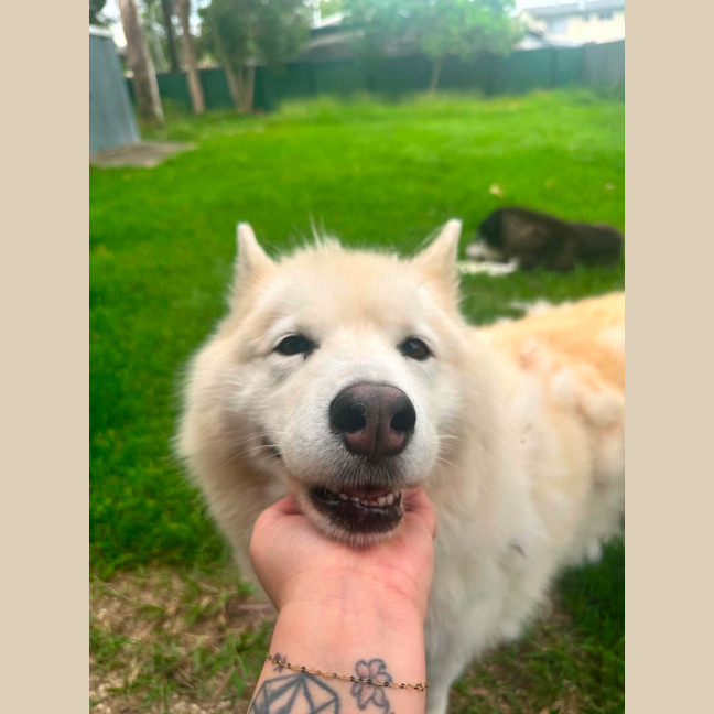 Photo of Kiara And Komet
