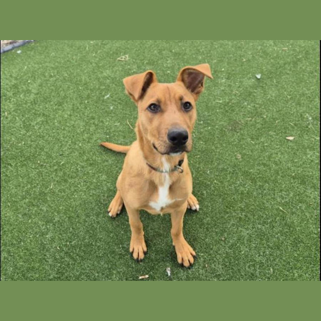 Photo of Cap Imp 834