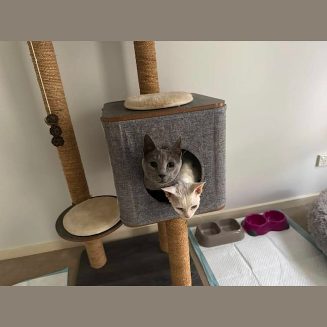 Photo of Lexi