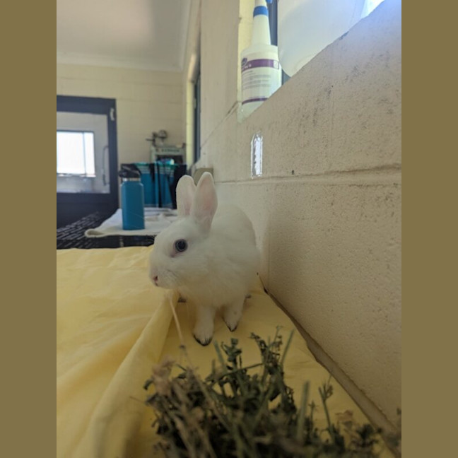 Photo of Cumulus