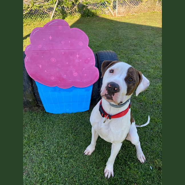 Photo of Max