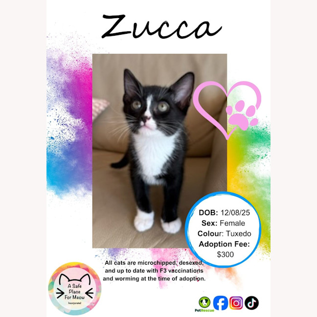 Photo of Zucca