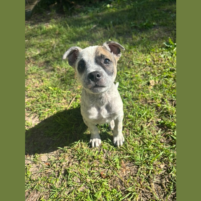 Photo of Preslee