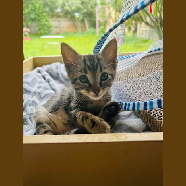Photo of Tommy
