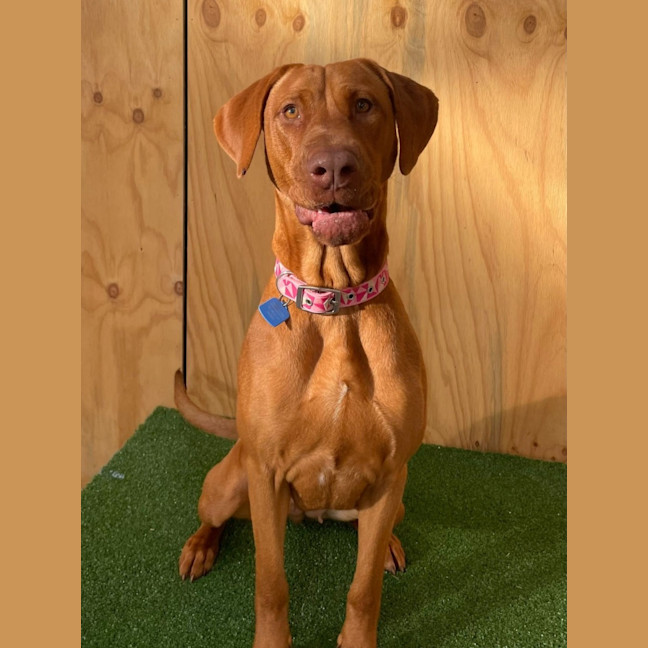 Photo of Cleo