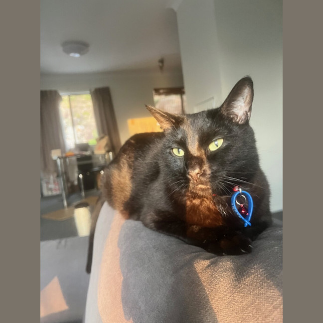 Photo of Batman