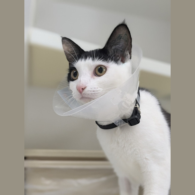 Photo of 🌺 Yasmine 5798 🌺