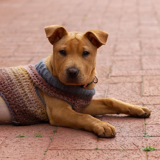 Photo of Ellie