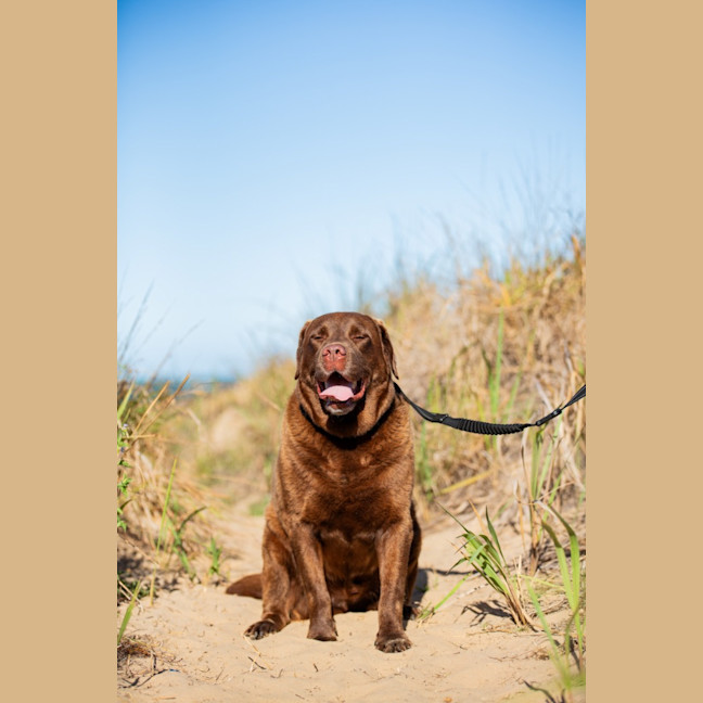 Photo of Leroy