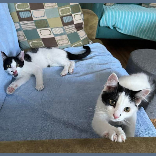 Photo of Acorn & Macadamia 