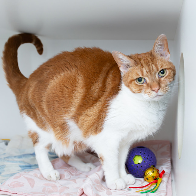 Photo of Candy