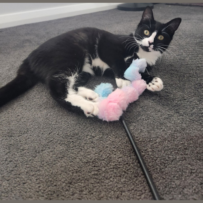 Photo of Lucy & Fletch