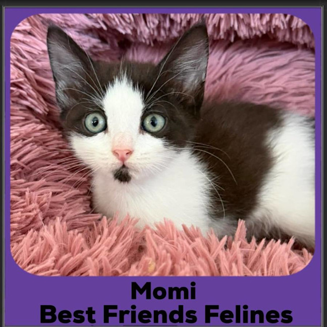 Photo of Momi 