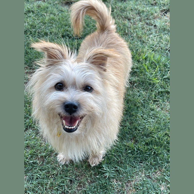 Photo of Milly