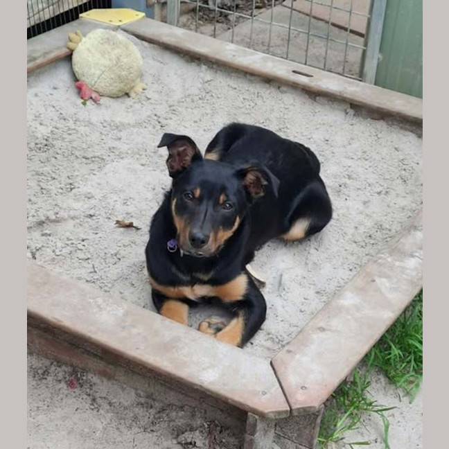 Photo of Thor