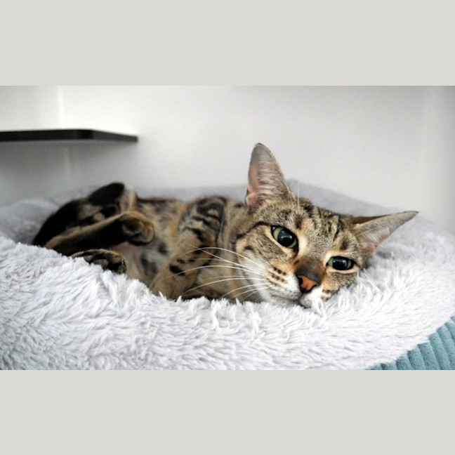 Photo of Eugenie Sua014368